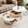 Modern Round Lift-top Nesting Coffee Tables with 2 Drawers White & Natural