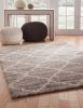 Trellis Ivory/Tan/Brown Area Rug 5x8