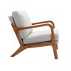 Wood Frame Armchair;  Modern Accent Chair Lounge Chair for Living Room